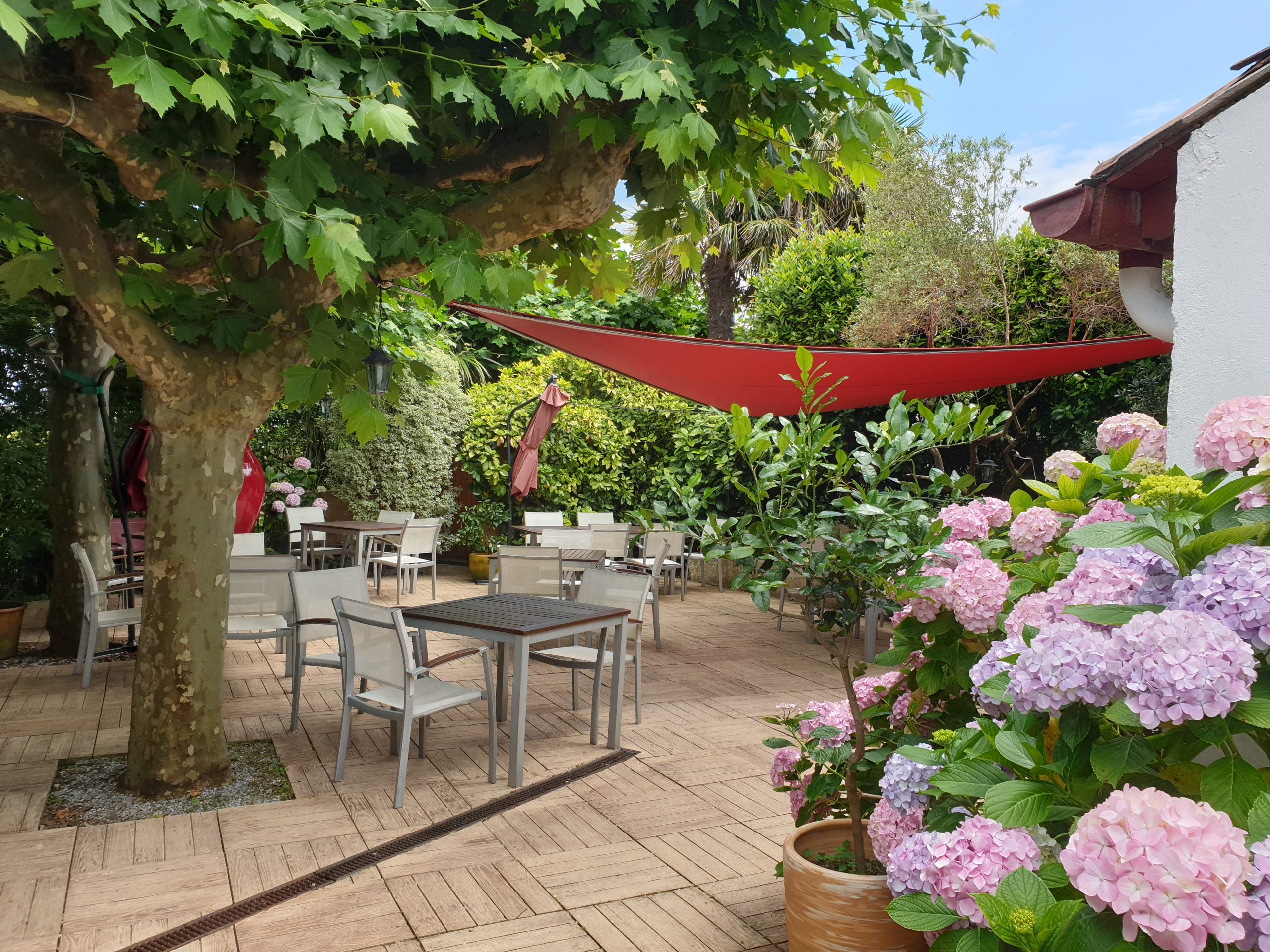 terrasse ombragé sous les platanes, avec hortensias et voile rouge du Gétaria